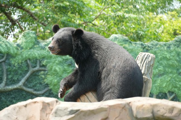 Guide pratique sur la structure de l'Église catholique